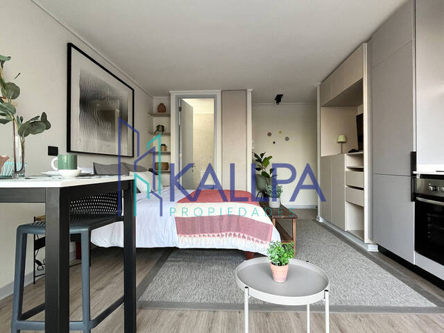 #122 - Departamento para Arriendo en Santiago - XIII