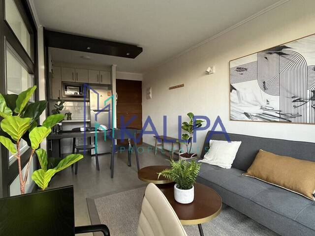 #124 - Departamento para Arriendo en Santiago - XIII